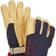 Hestra Philippe Raoux Classic Glove - Navy