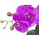 Europalms Orchid Arrangement 4 Kunstig plante