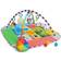 Baby Einstein Patchs 5 in 1 Color Playspace Activity Gym & Ball Pit