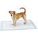 Amazon Basics Dog and Puppy Pee Pads with Leak-Proof Potty