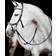 Horseware Rambo Micklem Competition Bridle with Reins Black 00C-x-00F unisex
