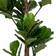 House Nordic Fiddle Leaf Kunstig plante