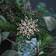 Rosendahl Ice Flower Silver Juletræspynt 7cm