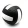Shein No.5 Volleyball For Training & Games Anti-Slip Design Beach Volleyball For Men & Women Comes With Net Bag And Pump 1pc