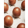 Brainchild Egg Parade Black Billede 14.8x21cm