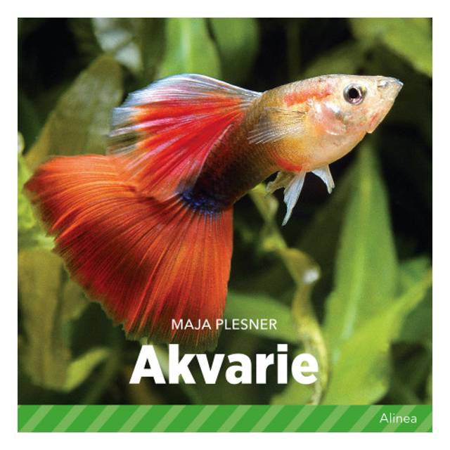 Akvarie | Dyr - Vestsjælland - på DBA
