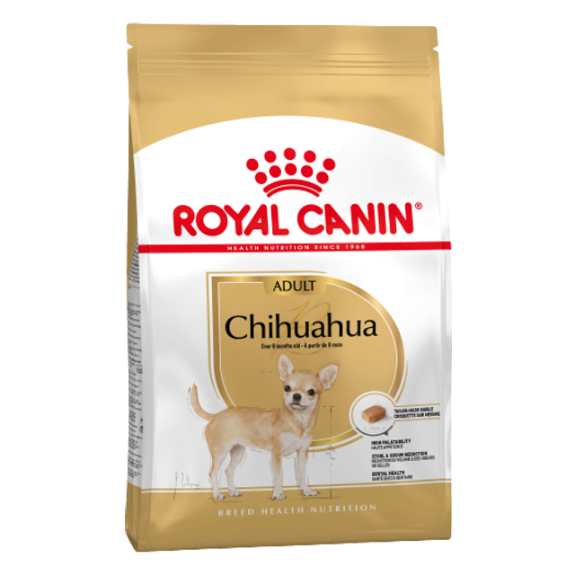 Chihuahua Hunde tilbehør - Køb på DBA