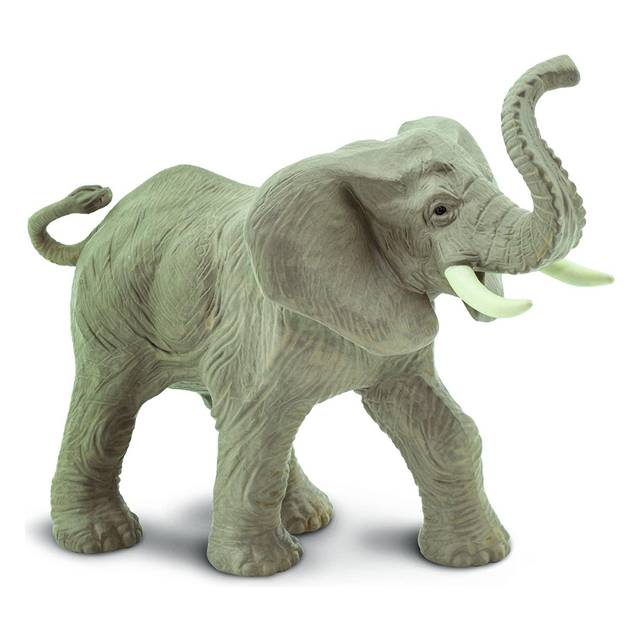Find Elefant Safari på DBA - køb og salg af og brugt