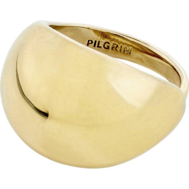 Pilgrim Ringe belagt - Morefews.dk